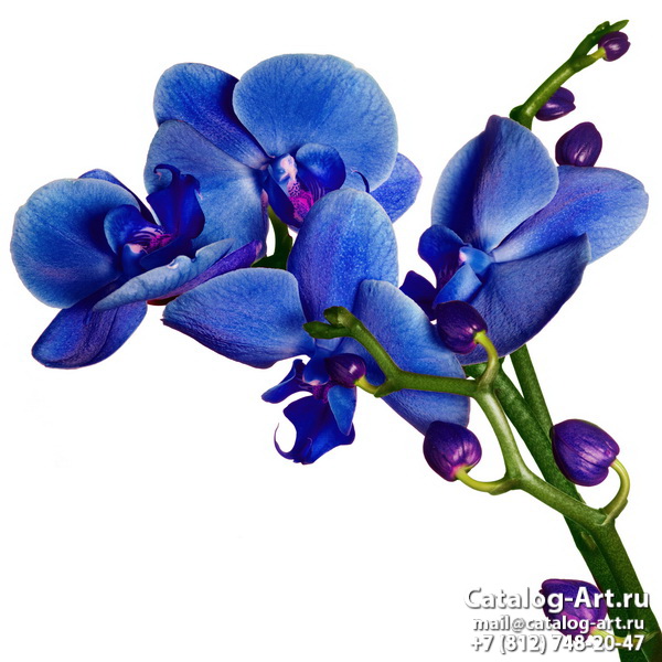 Натяжные потолки с фотопечатью - Голубые цветы 55